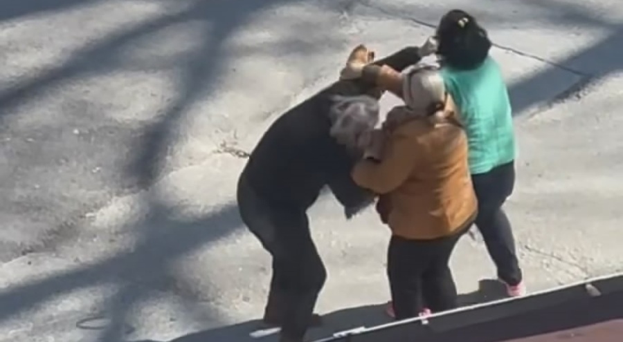 Bursa'da kadınlar yol ortasında saç saça birbirlerine girdi!