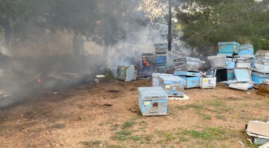 Datça'da orman yangını!