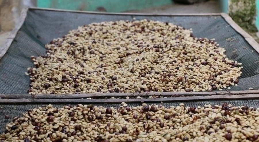 Asgari ücretten daha pahalı 4 yiyecek