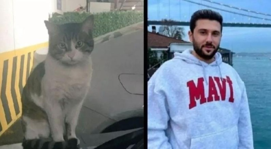 Kedi Eros davasında yeni gelişme!