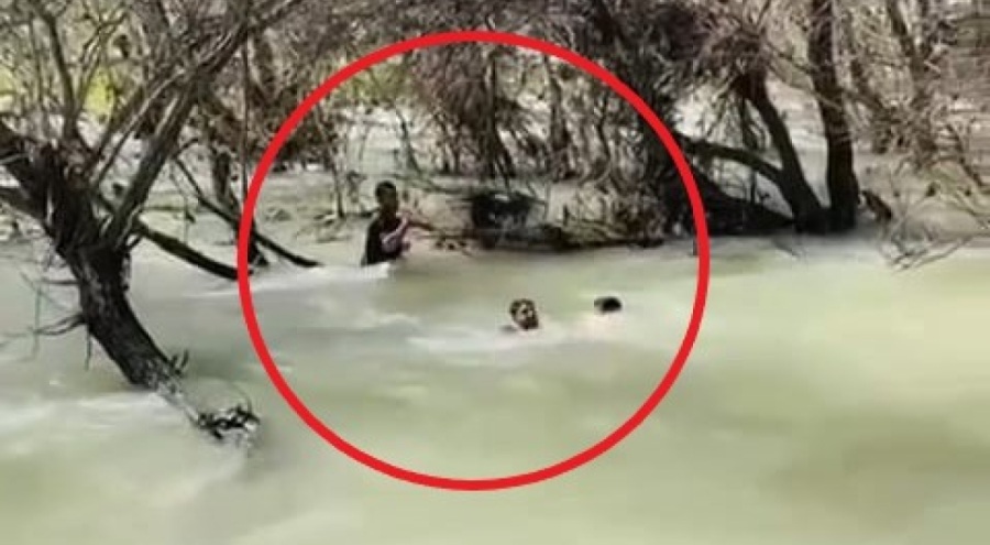 Serpme ağ boynuna dolandı!