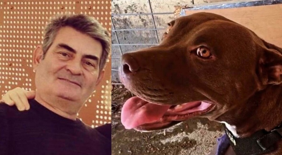 Yakarak öldürmüştü! Şila'nın katiline 4 yıl hapis! "Suç işleme eğilimi var"