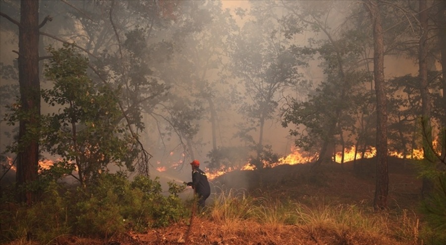Yunanistan'da çıkan orman yangını devam ediyor