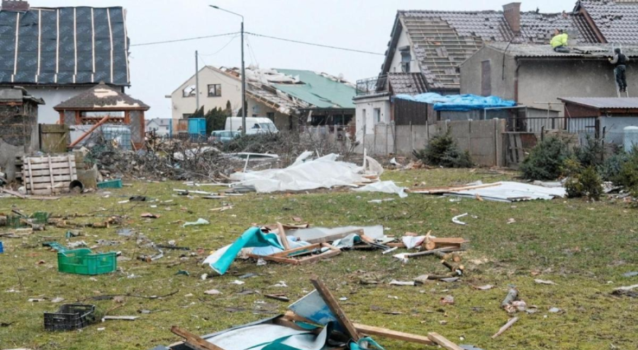 Polonya'da fırtınada ağaçlar devrildi! Çok sayıda ölü
