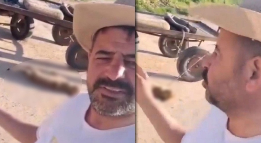 Sokak köpeğini öldürdü, at arabasına bağlayıp sürükledi!