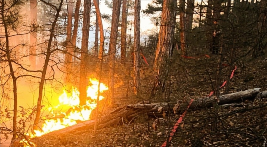 Kütahya'da orman yangını