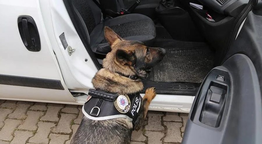 Balıkesir'de zehir tacirlerine geçit yok