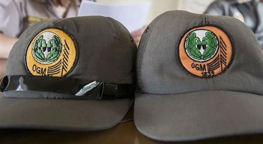 OGM'ye 20 sözleşmeli orman mühendisi alınacak