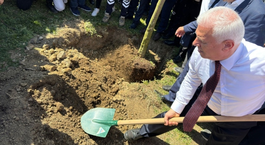 Bursa yine yeşille anılacak