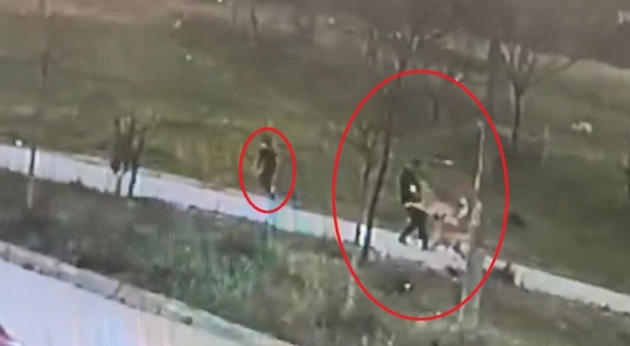 Bursa'da başıboş köpek dehşeti! Oğlu için kendini feda etti ölümden döndü