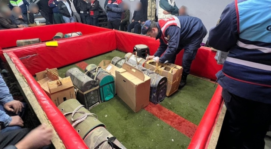 Horoz dövüştürenlere 961 bin TL ceza