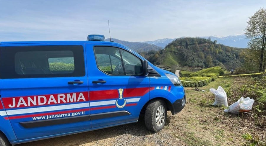 Rize'de çay bahçesinde erkek cesedi bulundu