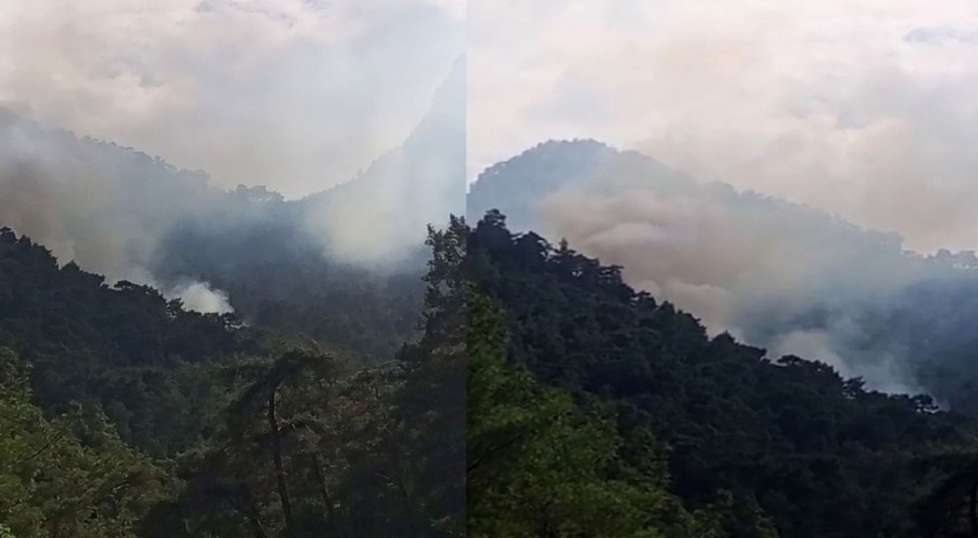 Antalya'da orman yangını