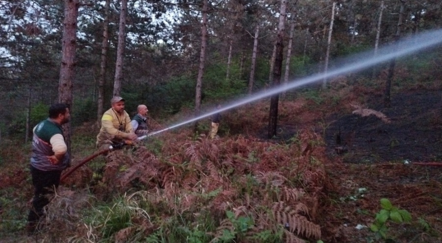 Aydos ormanında yangın