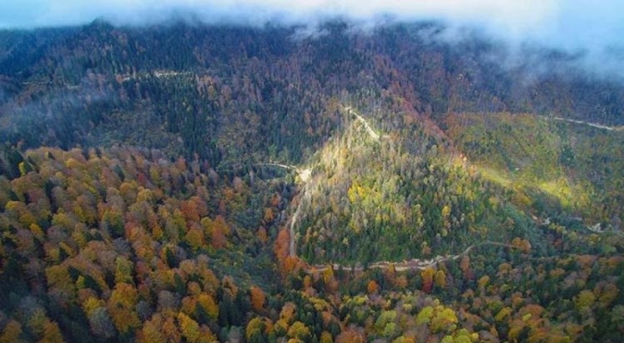 Karadeniz'de 'heyelan' tehlikesi