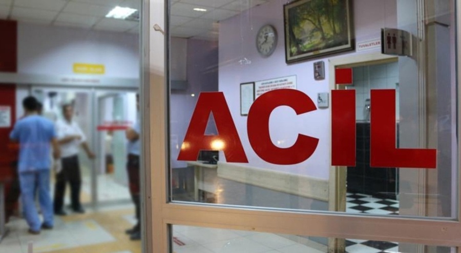 Kestiği ağacın altında kaldı