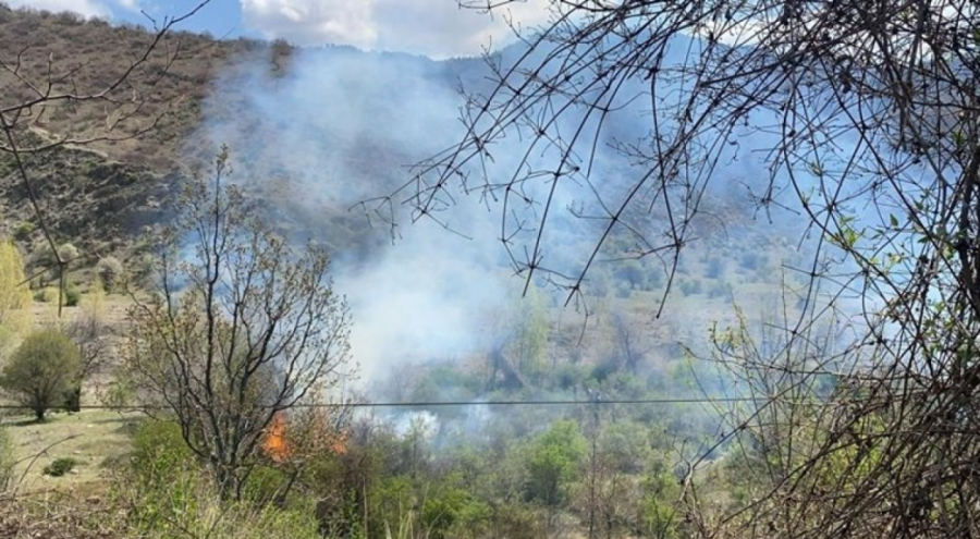 Çankırı'da orman yangını!