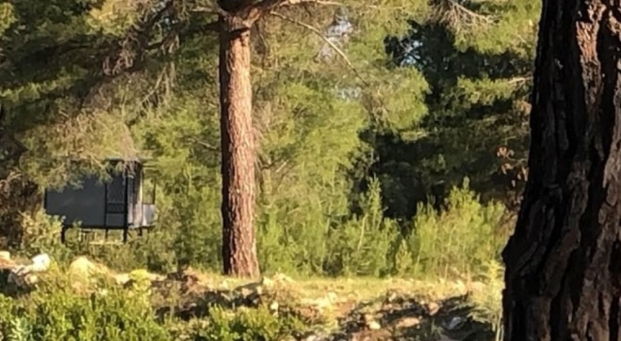 Bağ evinde korkunç olay! Boşanmak isteyen karısını av tüfeğiyle öldürüp intihar etti