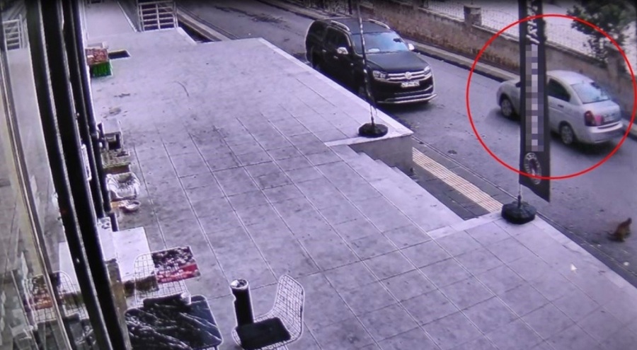 Otomobiliyle sokak kedisini ezerek öldürüp, kaçtı!