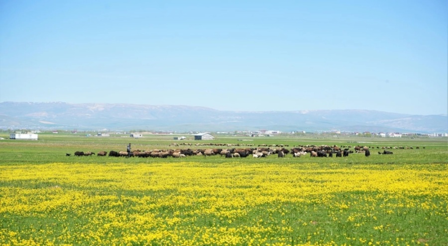 Yeme içme ve 40 bin maaş sunuluyor, yine çalışan yok: 'Gençler asgari ücrete fabrikada çalışıyor'