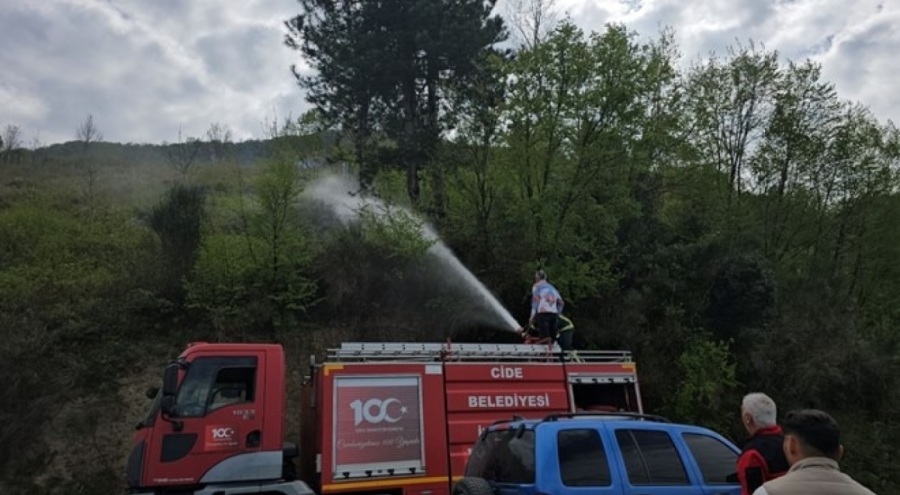 Kastamonu'da korkutan orman yangını