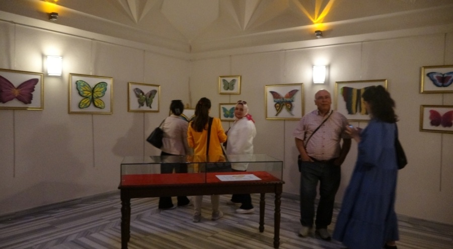 Benzersiz Kelebekler'e ziyaretçi akını