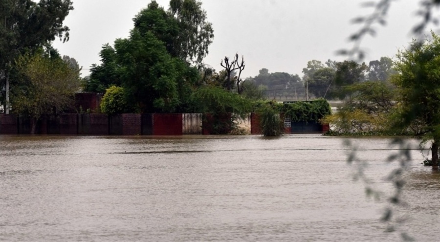 Pakistan'da şiddetli yağış ve yıldırım sonucu ölenlerin sayısı 63'e çıktı