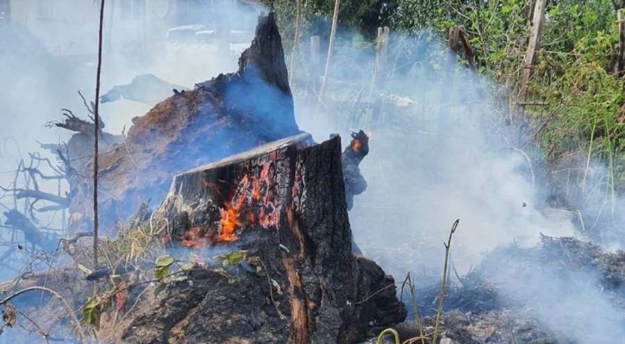 Giresun'da örtü yangını!