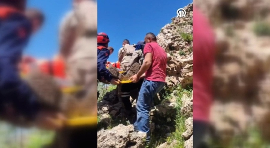 Mardin'de bir kişi kayalıklardan düştü, ağır yaralandı