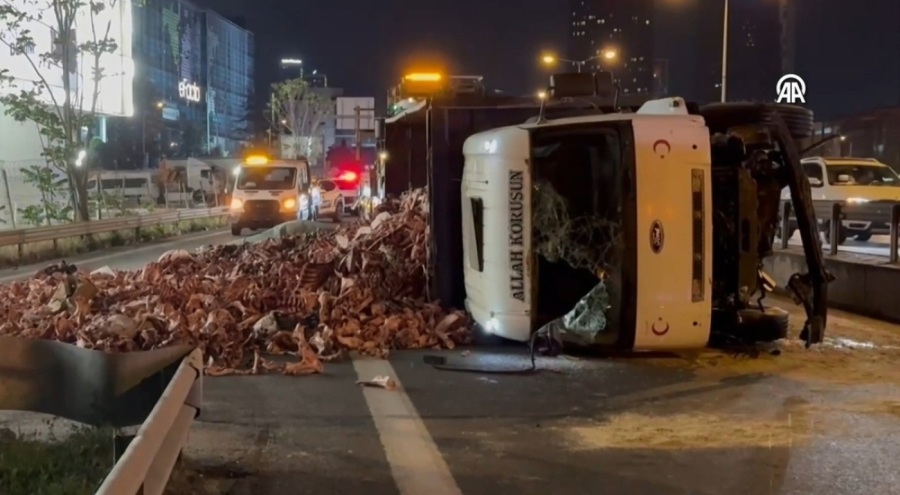 Sakatat yüklü kamyon devrildi