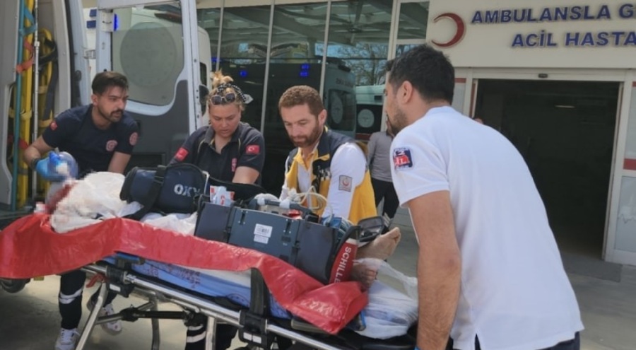 Anneannesini ve teyzesini döverek hastanelik etti