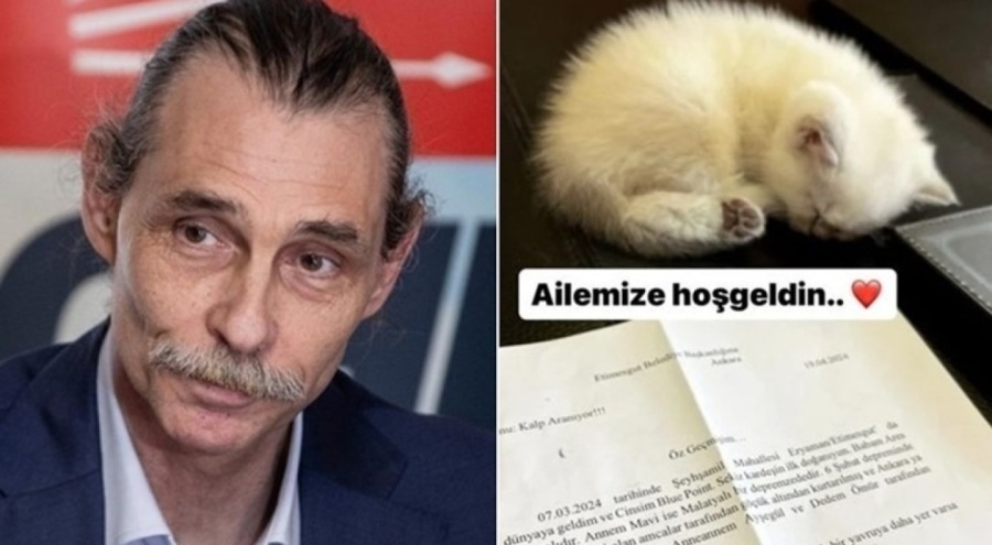 Erdal Beşikçioğlu depremzede kedinin yavrusunu sahiplendi