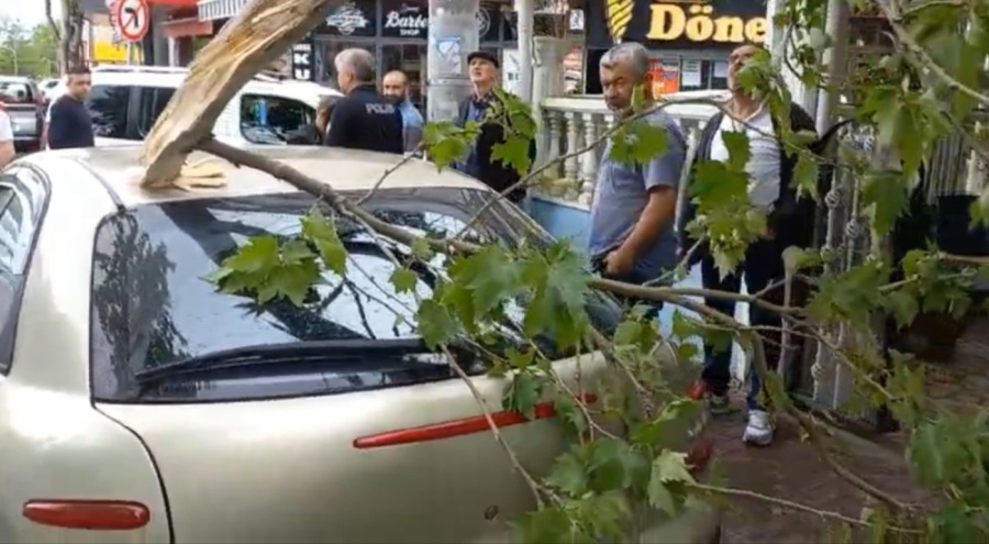 Bursa'da şiddetli rüzgara dayanamayan ağaç otomobilin üzerine devrildi!
