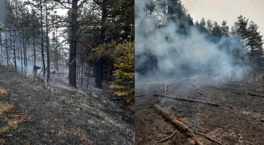 Enerji nakil hattından çıkan yangın söndürüldü