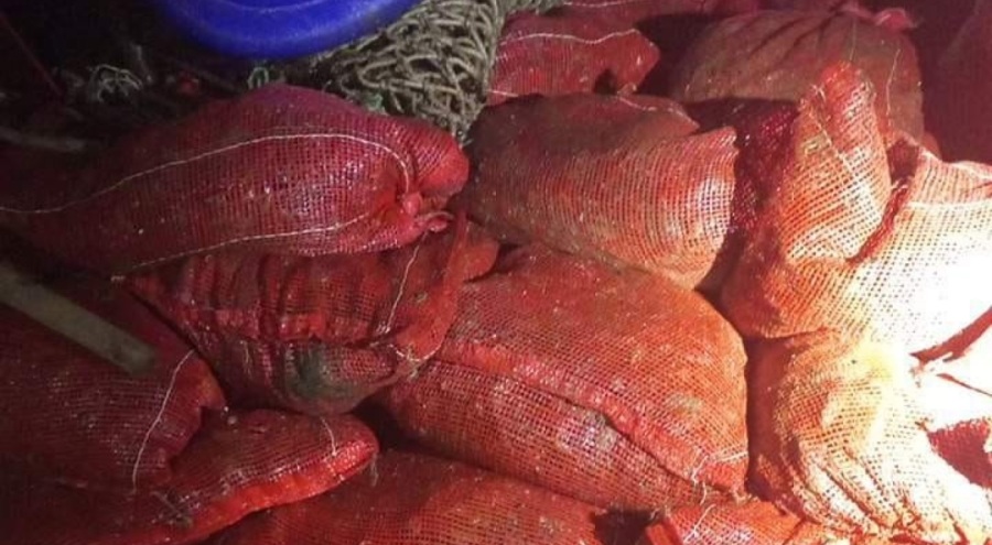 Yalova'da 1 ton 150 kilo kaçak midye ele geçirildi