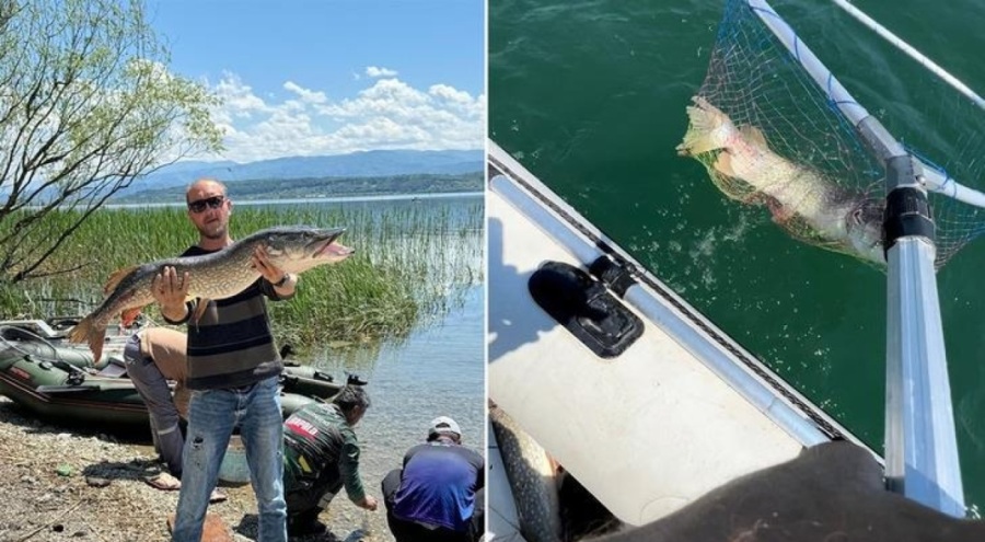 Balıkçılar ne yapacaklarını şaşırdı! 'Kocaman, bu canavar'
