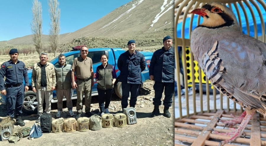 Yasa dışı keklik avlayan 2 kişi suçüstü yakalandı