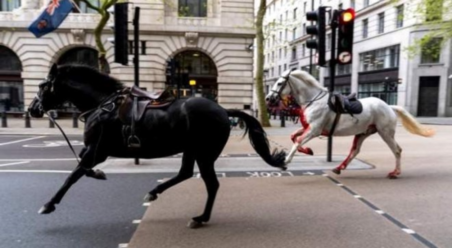 Londra'da kaçan askeri atlar paniğe yol açtı
