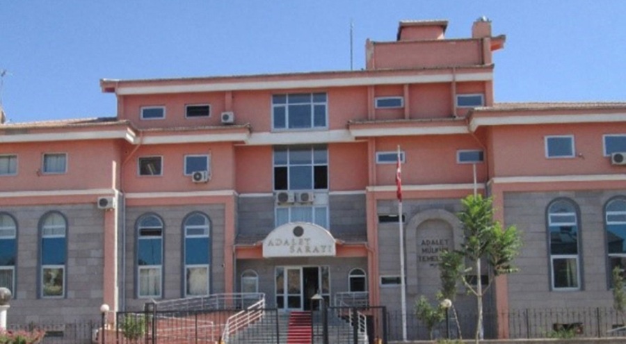 Sokak köpeğini tüfekle vurarak katleden şahıs serbest bırakıldı!