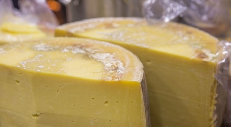 Tonlarca küflü gıdaya el konuldu