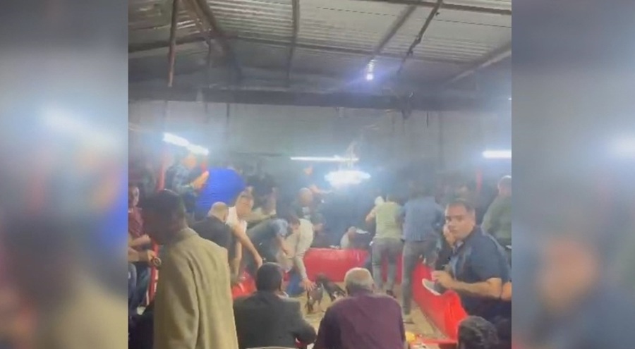 Şanlıurfa'da horoz dövüşüne suçüstü