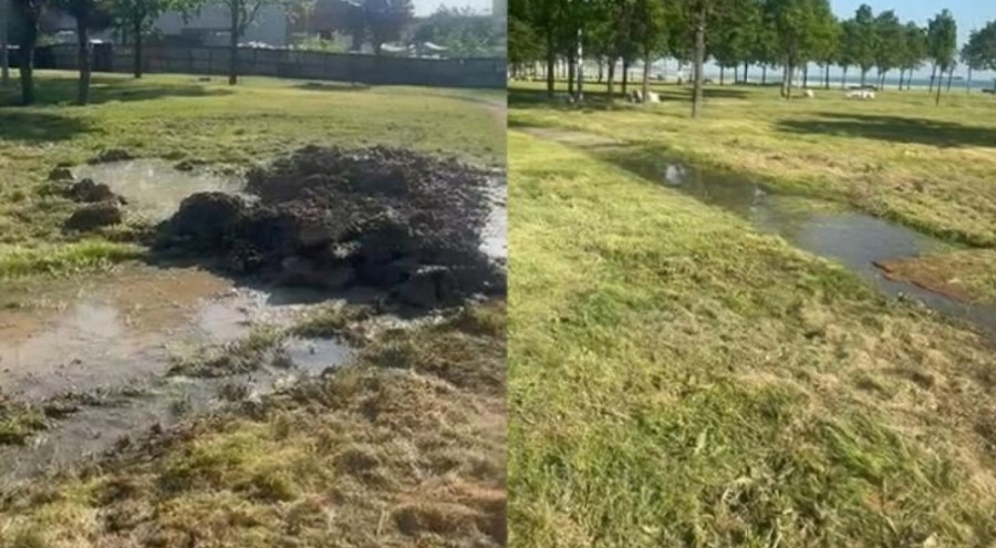 Su birikintisine düşen çocuk hayatını kaybetti