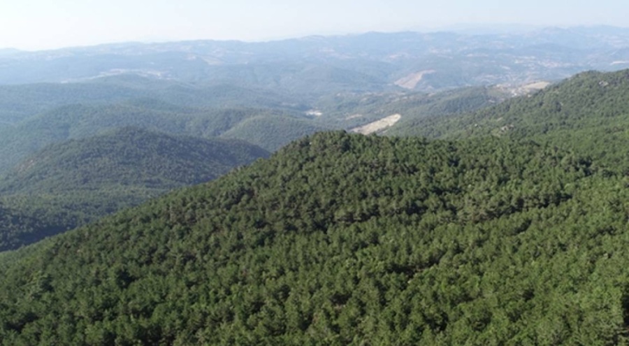 Kazdağları tehdit altında! Proje onaylanırsa 10 hektarlık alan yok olacak