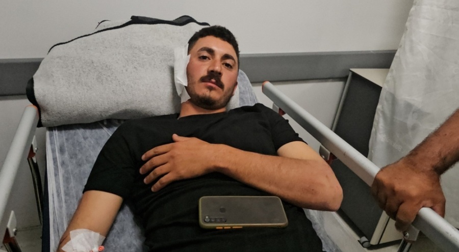 Mantar toplarken ayının saldırısına uğrayan kişi yaralandı