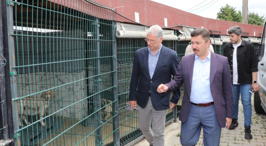 Mudanya'da sokak hayvanları için kollar sıvandı! Yeni merkez geliyor