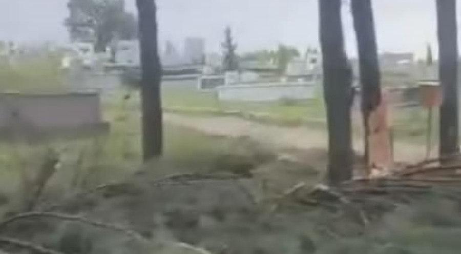 Bursa'da fırtınada ağaçlara yıldırım düştü!