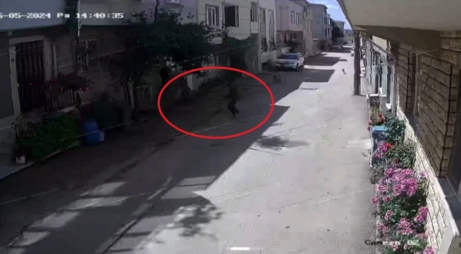 Bursa'da sokak köpekleri 3 çocuğa saldırdı!