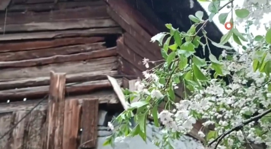 Erzurum'da mayıs ayında kar sürprizi