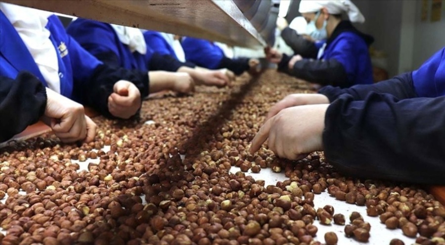 Doğu Karadeniz'den  525,5 milyon dolarlık ihracat yapıldı