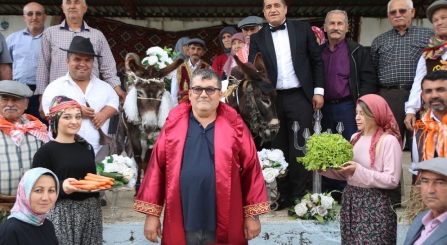Nesli tükenmesin diye eşeklere sembolik düğün